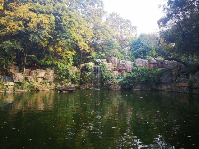 东莞人民公园旅行图片 3