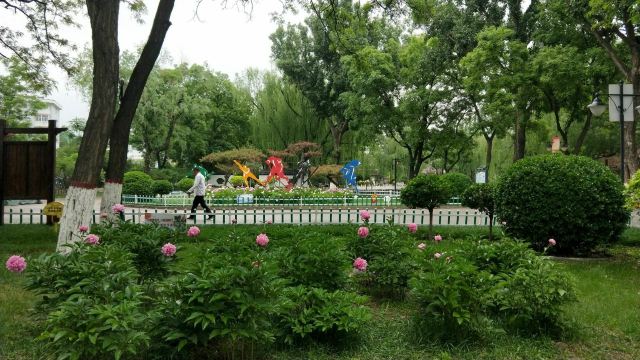 宣化人民公园旅行图片 4