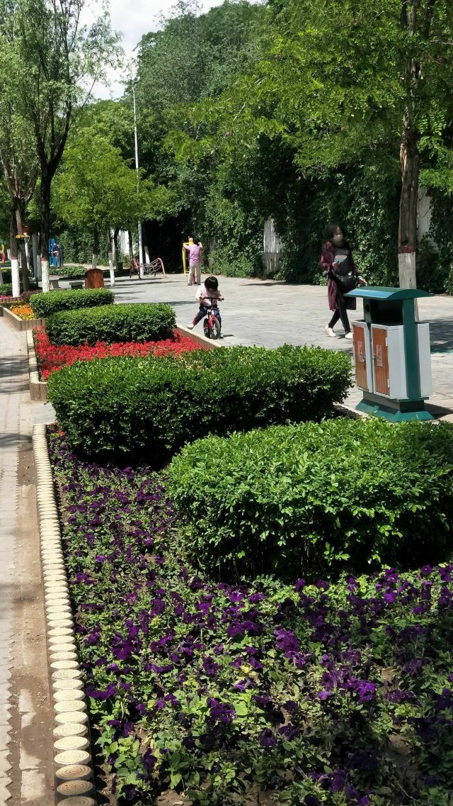 宣化人民公园旅行图片 15