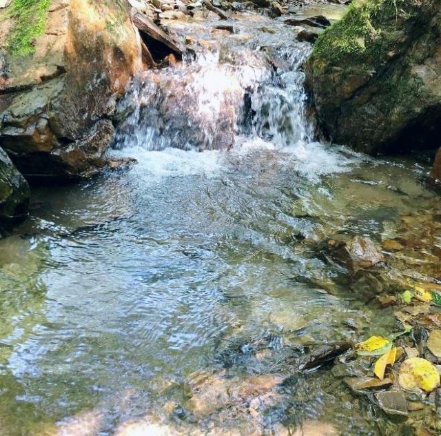 核伙沟森林公园旅行图片 3