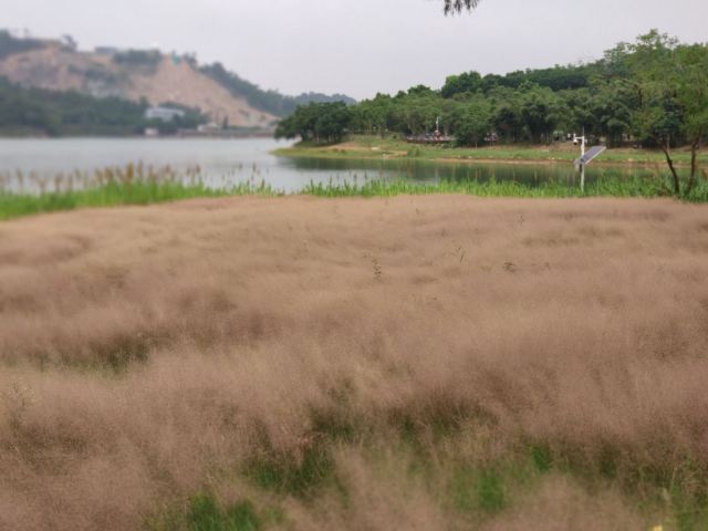 金钟水库旅行图片 1