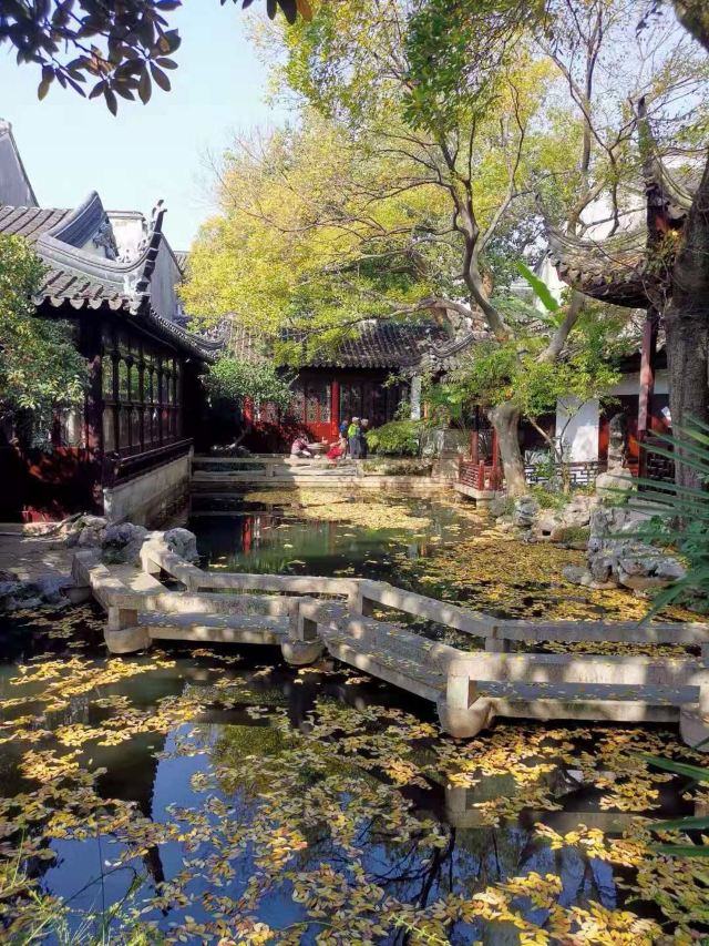 畅园旅行图片 1
