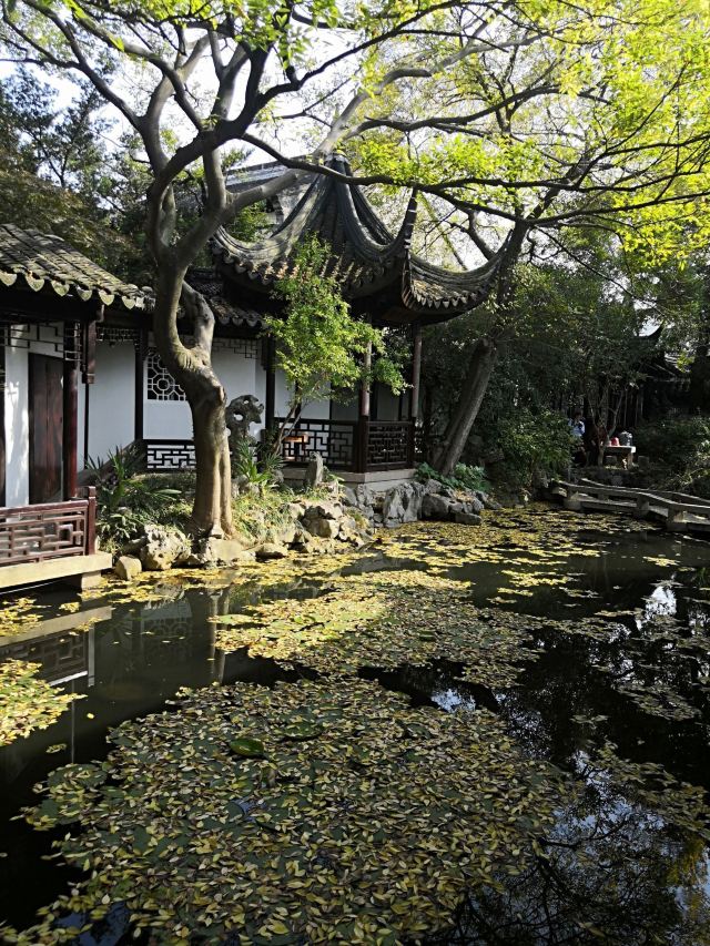 畅园旅行图片 9