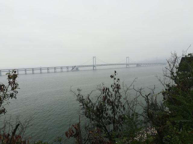 滨海路西段木栈道旅行图片 3