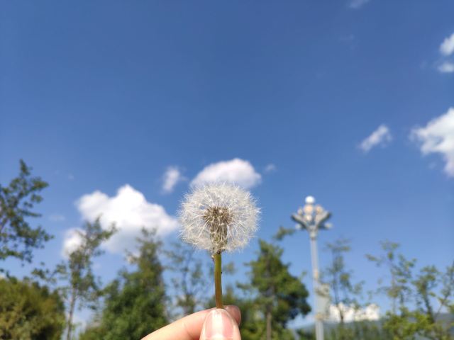 蛇山公园旅行图片 7