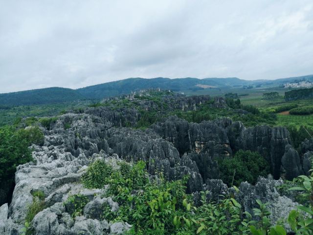 乃古石林风景区旅行图片 1