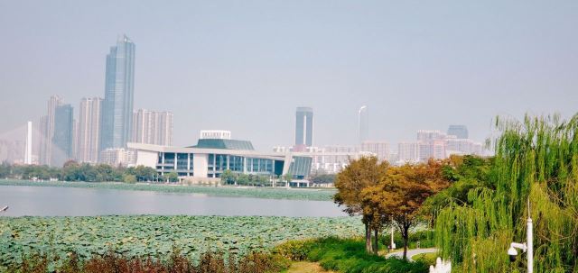 琴台小森林旅行图片 2