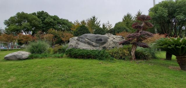 后襄河公园旅行图片 7