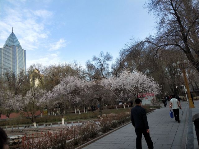 人民公园旅行图片 2