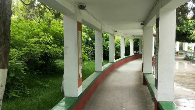 宣化人民公园旅行图片 5