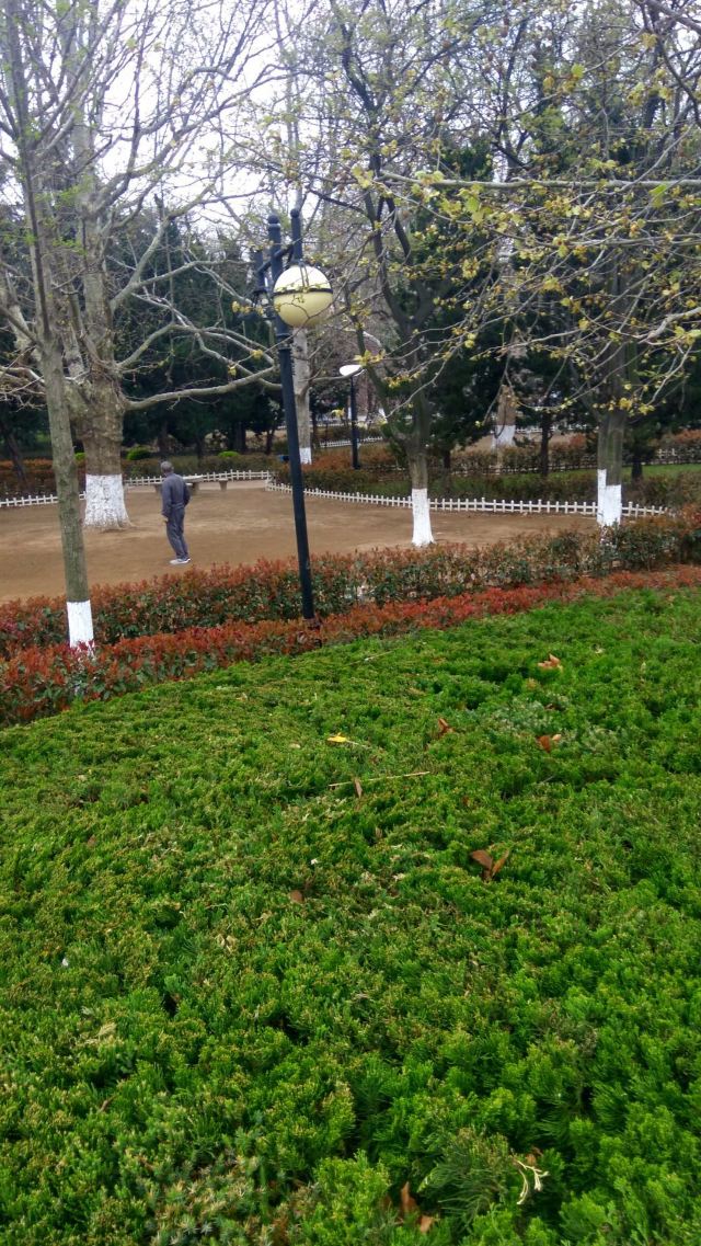 青岛市海泊河公园旅行图片 2