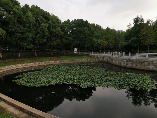 后襄河公园旅行图片 5