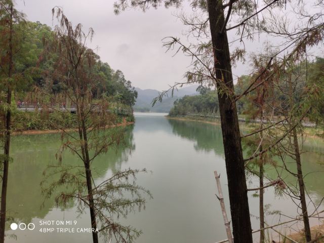 金钟水库旅行图片 5