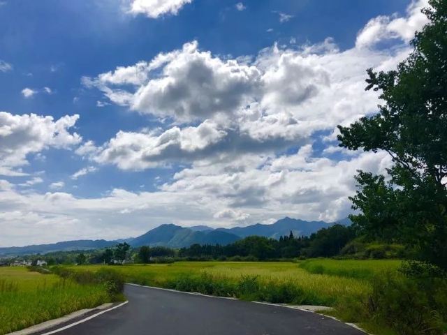 田横岛旅行图片 3