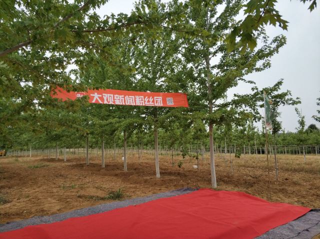 大连多彩燕园名校名树主题公园旅行图片 2