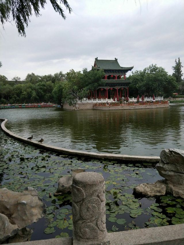 人民公园旅行图片 5