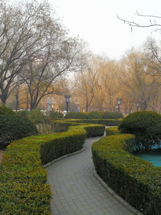 昌平公园旅行图片 3