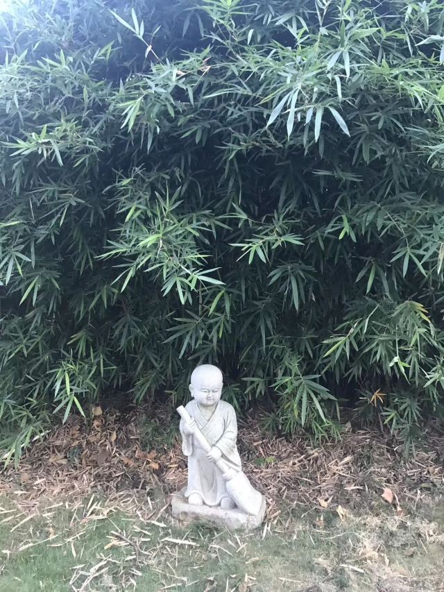 五祖寺旅行图片 3