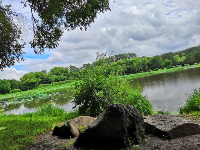 北湖公园旅行图片 3