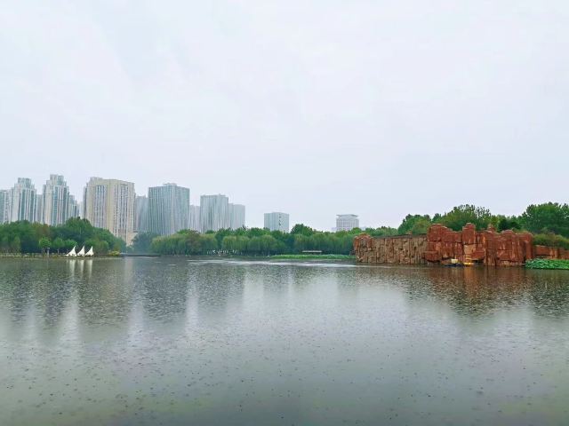 世纪公园旅行图片 5