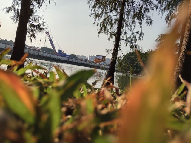 北滘公园旅行图片 8