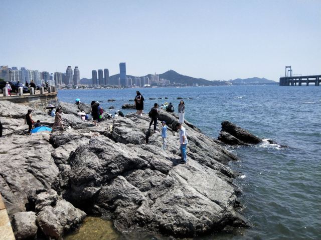 滨海路西段木栈道旅行图片 2