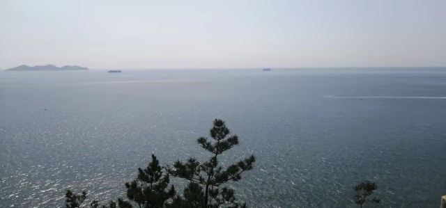 滨海路西段木栈道旅行图片 5