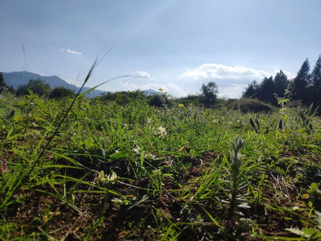 蛇山公园旅行图片 2