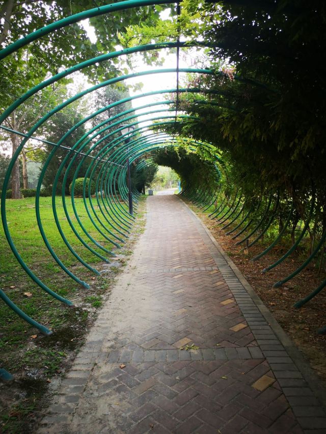 花博会主题公园旅行图片 14