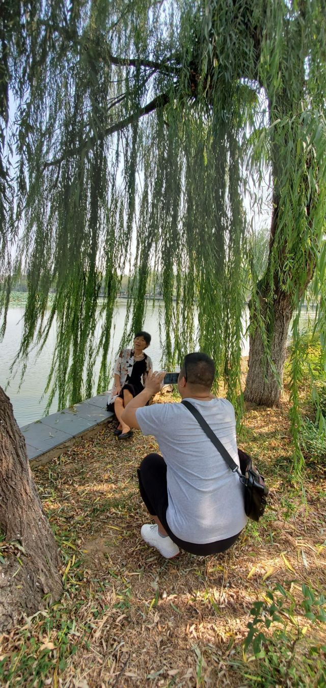 琴台小森林旅行图片 5