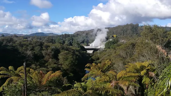 Wairakei Natural Thermal Valley