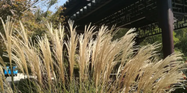 南京棲霞山風景名勝區-太虛亭