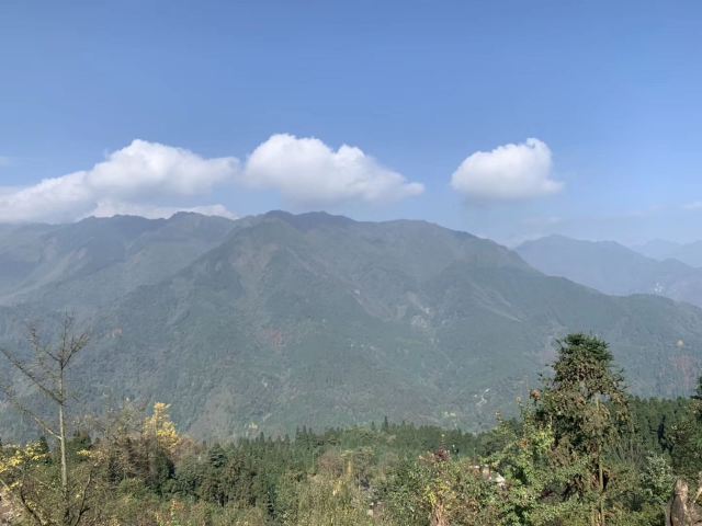 川西红枫岭旅行图片 1