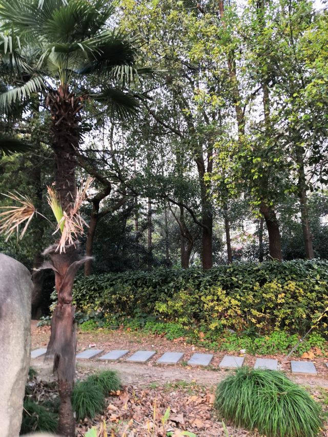 漕河泾开发区科创公园旅行图片 1