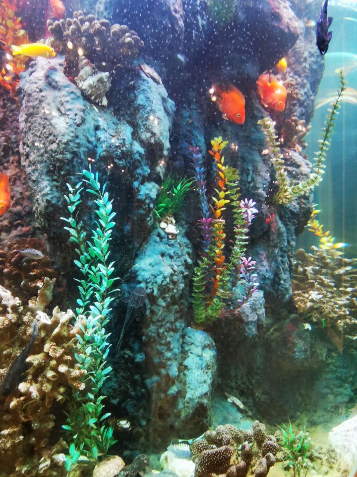 城南往事济南风味主题餐厅(舜师东路店)餐厅图片