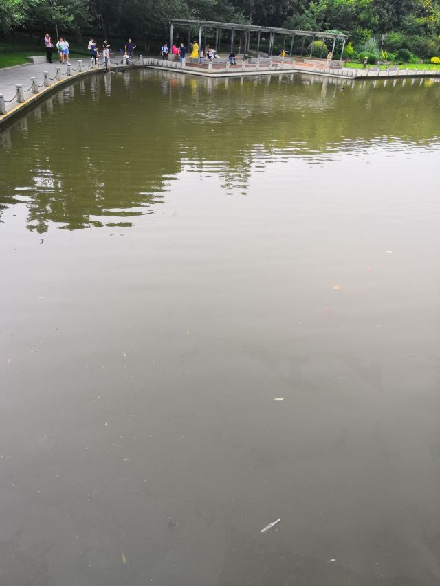 芦花荡公园-园门旅行图片 1