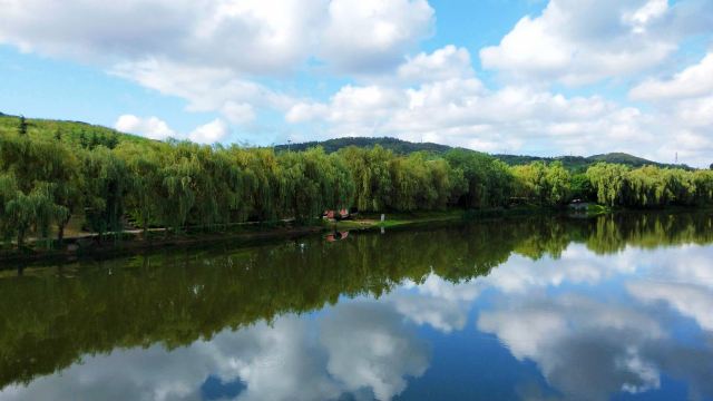 李村河生态全景示范园旅行图片 7