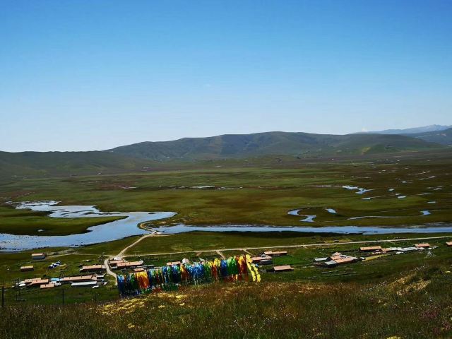 郭莽湿地旅行图片 2