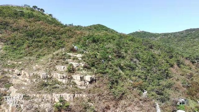 滨海路西段木栈道旅行图片 9