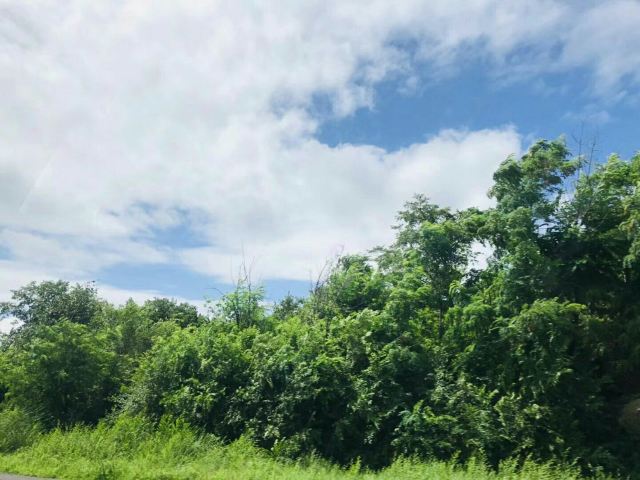 麻湾渔乐园旅行图片 2