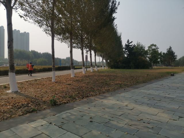 长春国际汽车公园旅行图片 1