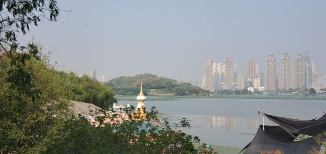 琴台小森林旅行图片 3