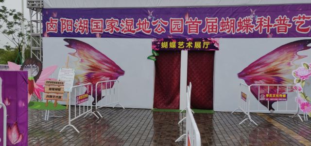 卤阳湖国家湿地公园旅行图片