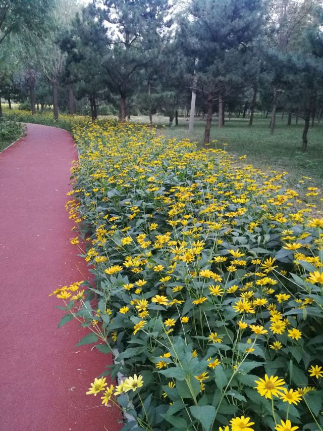 东坝公园旅行图片 1