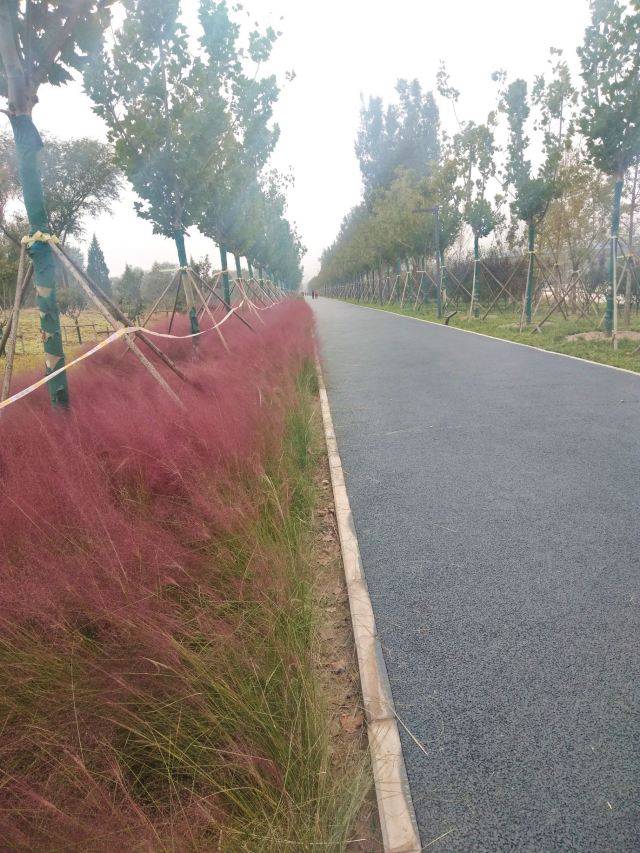 奥北森林公园二期北区旅行图片 3