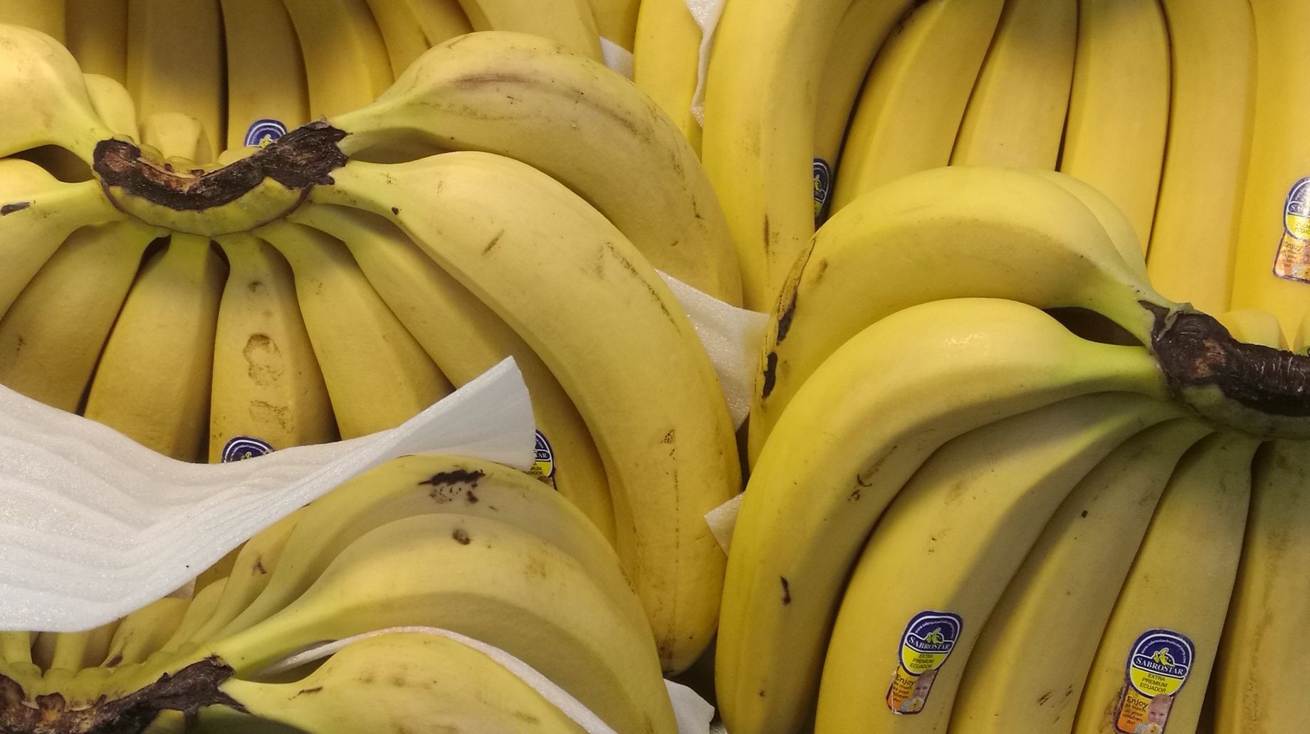 袁艳水果店(海头店)