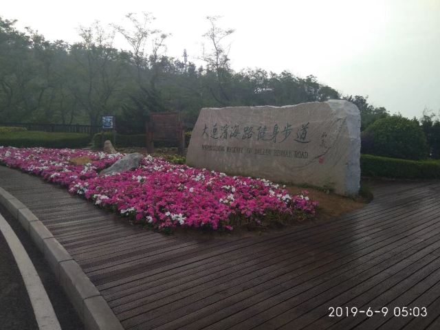 滨海路西段木栈道旅行图片 1