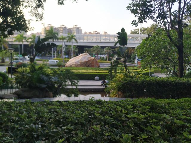 金尚公园旅行图片 1