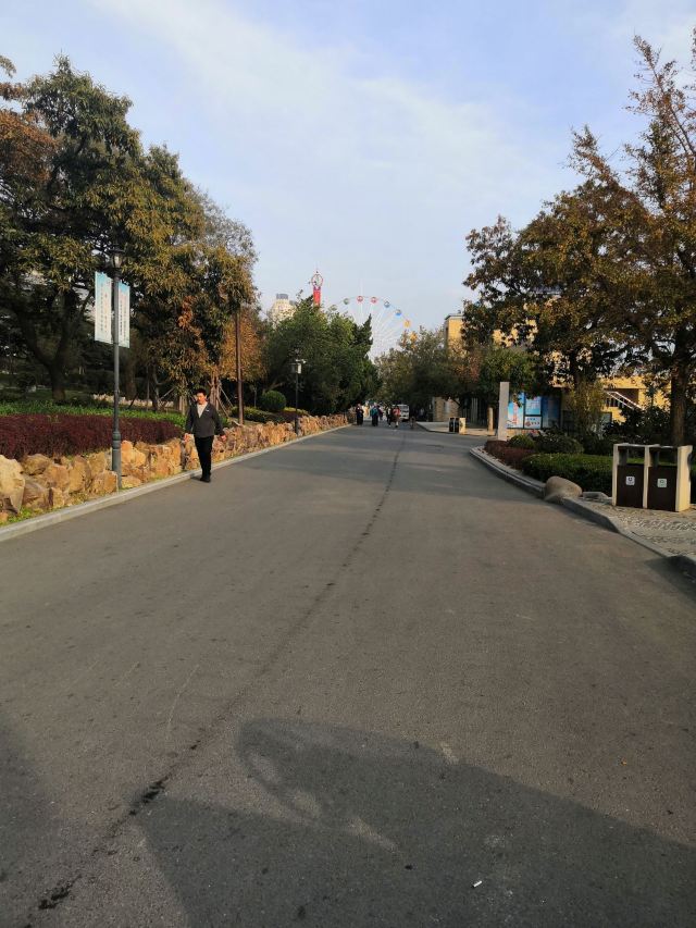 滨海路西段木栈道旅行图片 3