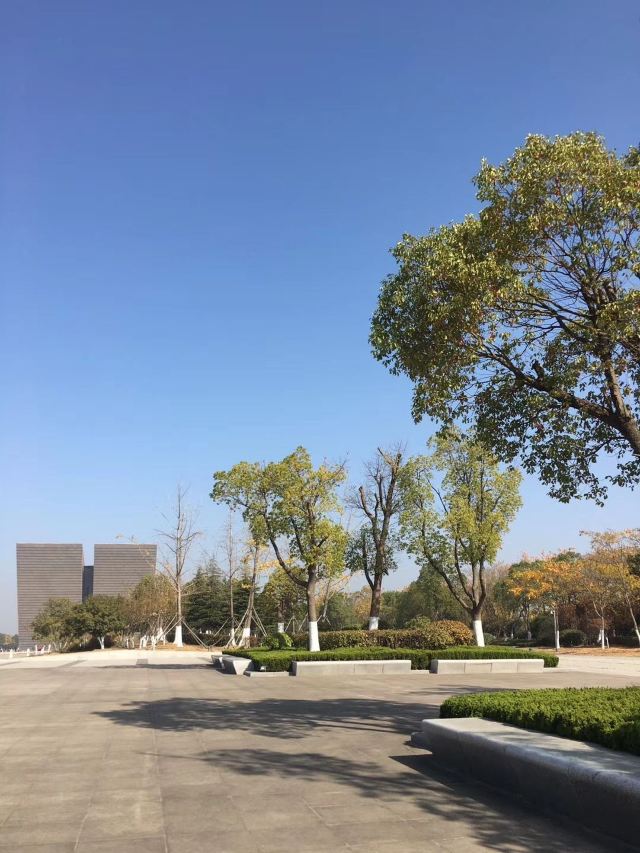 巢湖湿地旅行图片 3